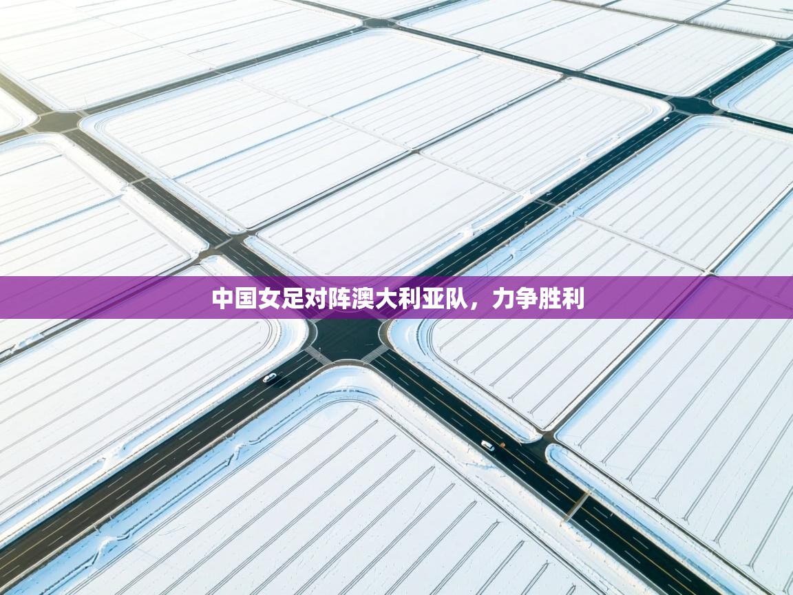 开云体育app官网入口网页版-中国女足对阵澳大利亚队，力争胜利