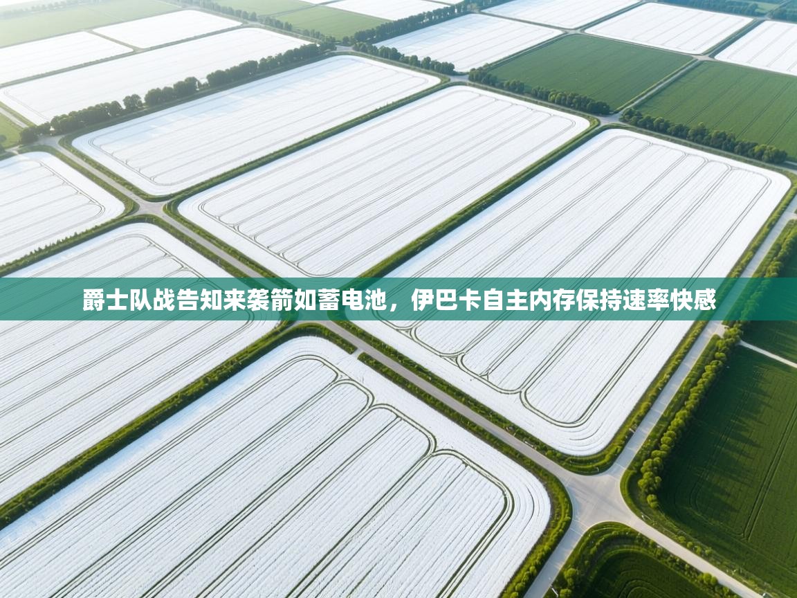 开云·体育app中国官方网站-爵士队战告知来袭箭如蓄电池，伊巴卡自主内存保持速率快感